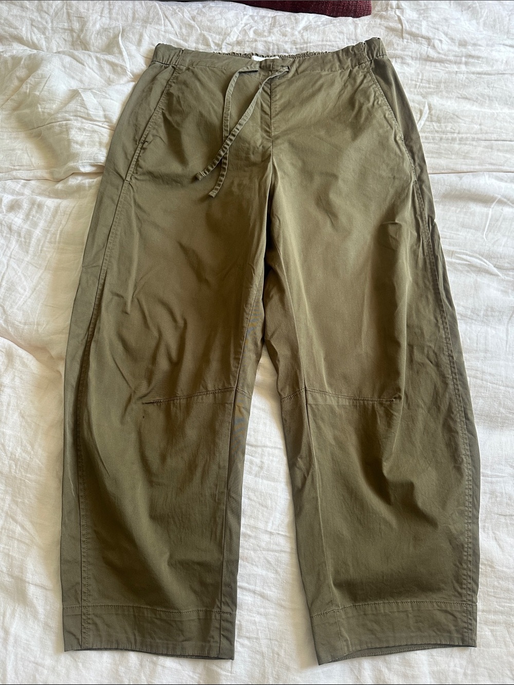 Everlane Barrel Easy Pants